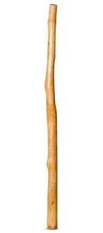 CrookedStixz Didgeridoo (AH330)